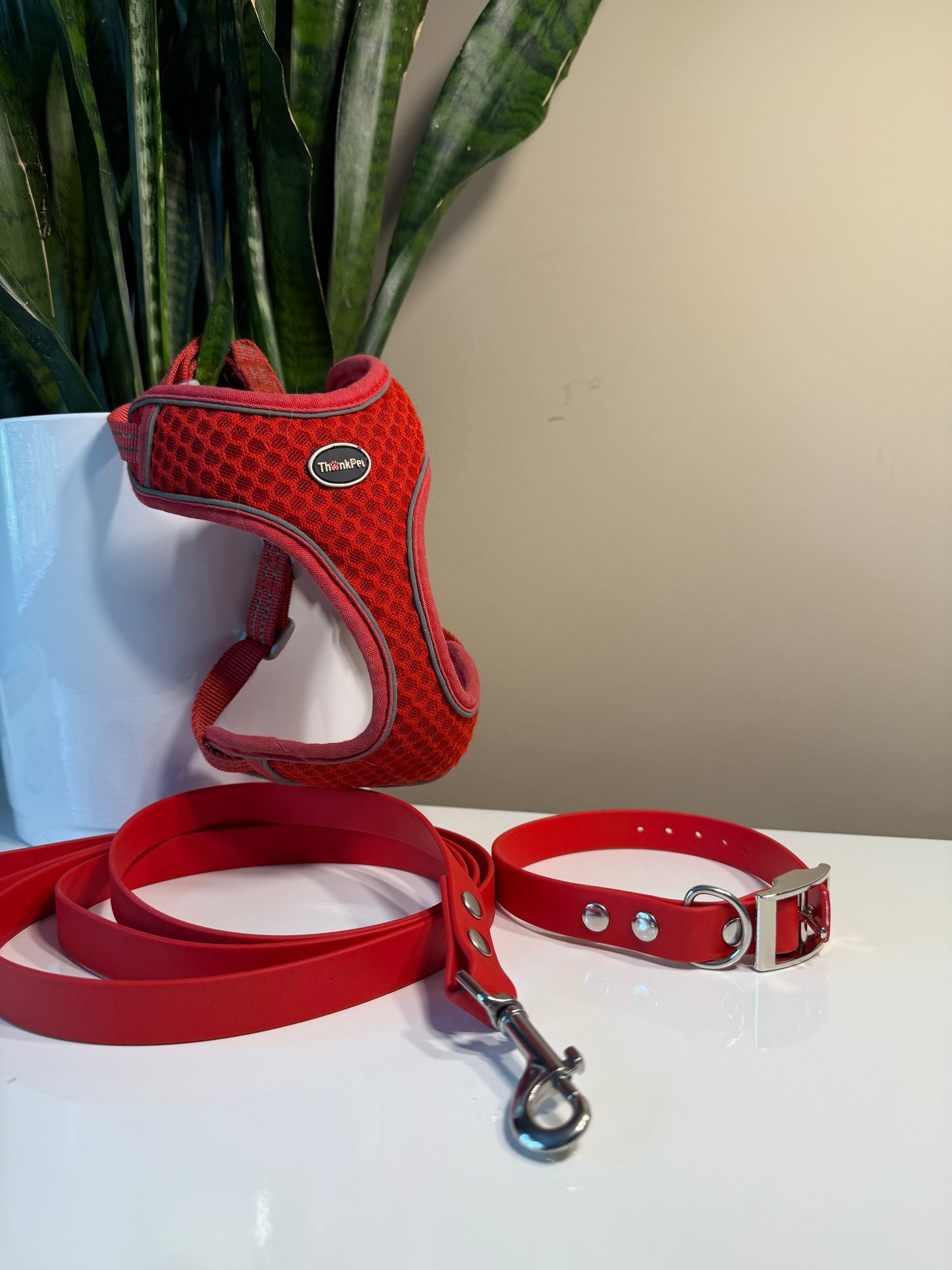 Small Dog Set