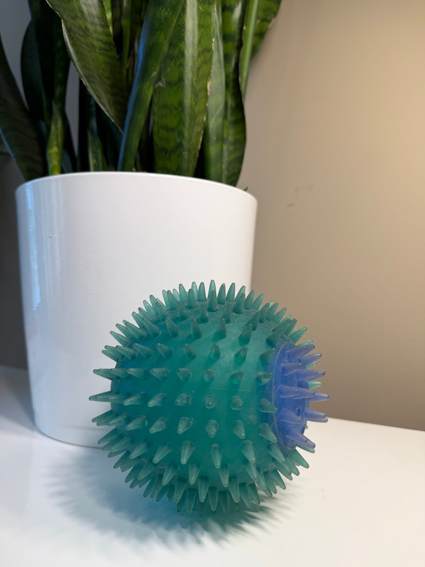 Dog ball
