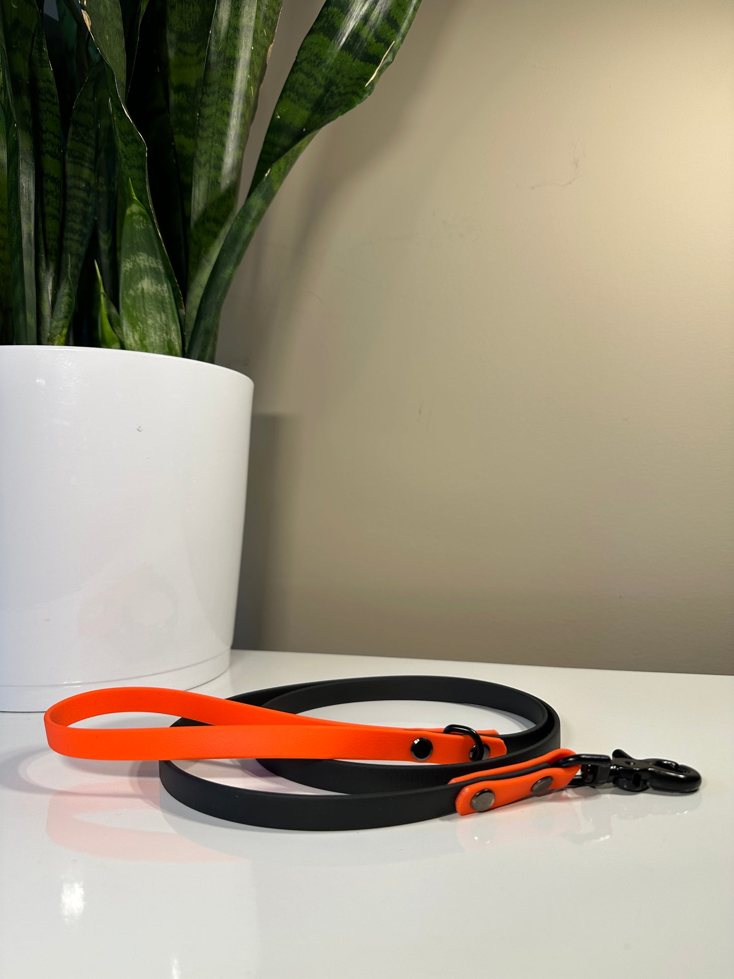 Two tone Orange & Black Leash