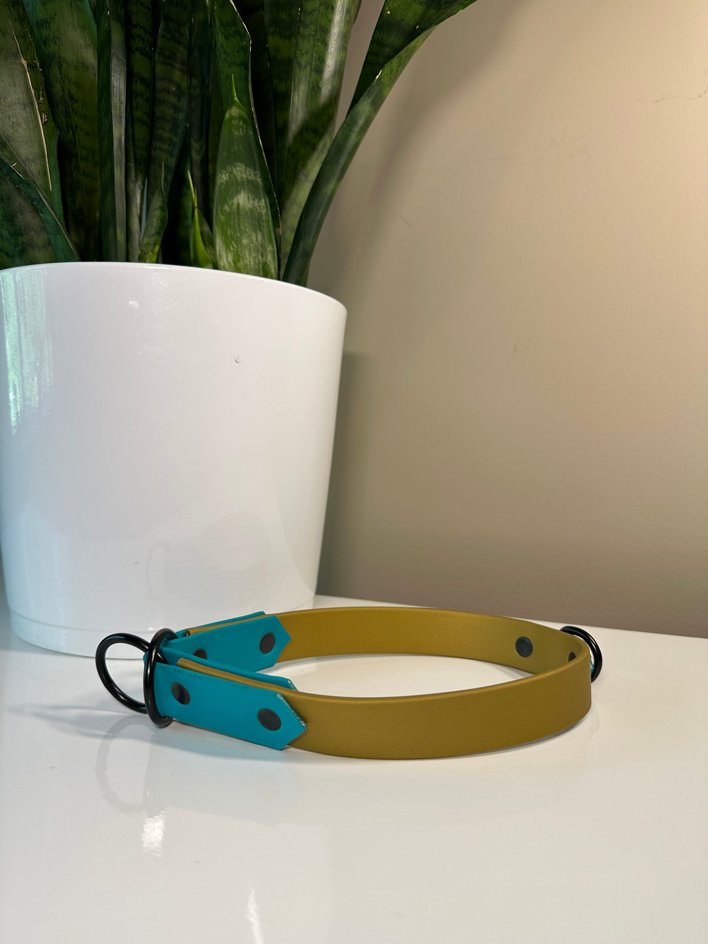 Two Tone Biothane Slip Collar