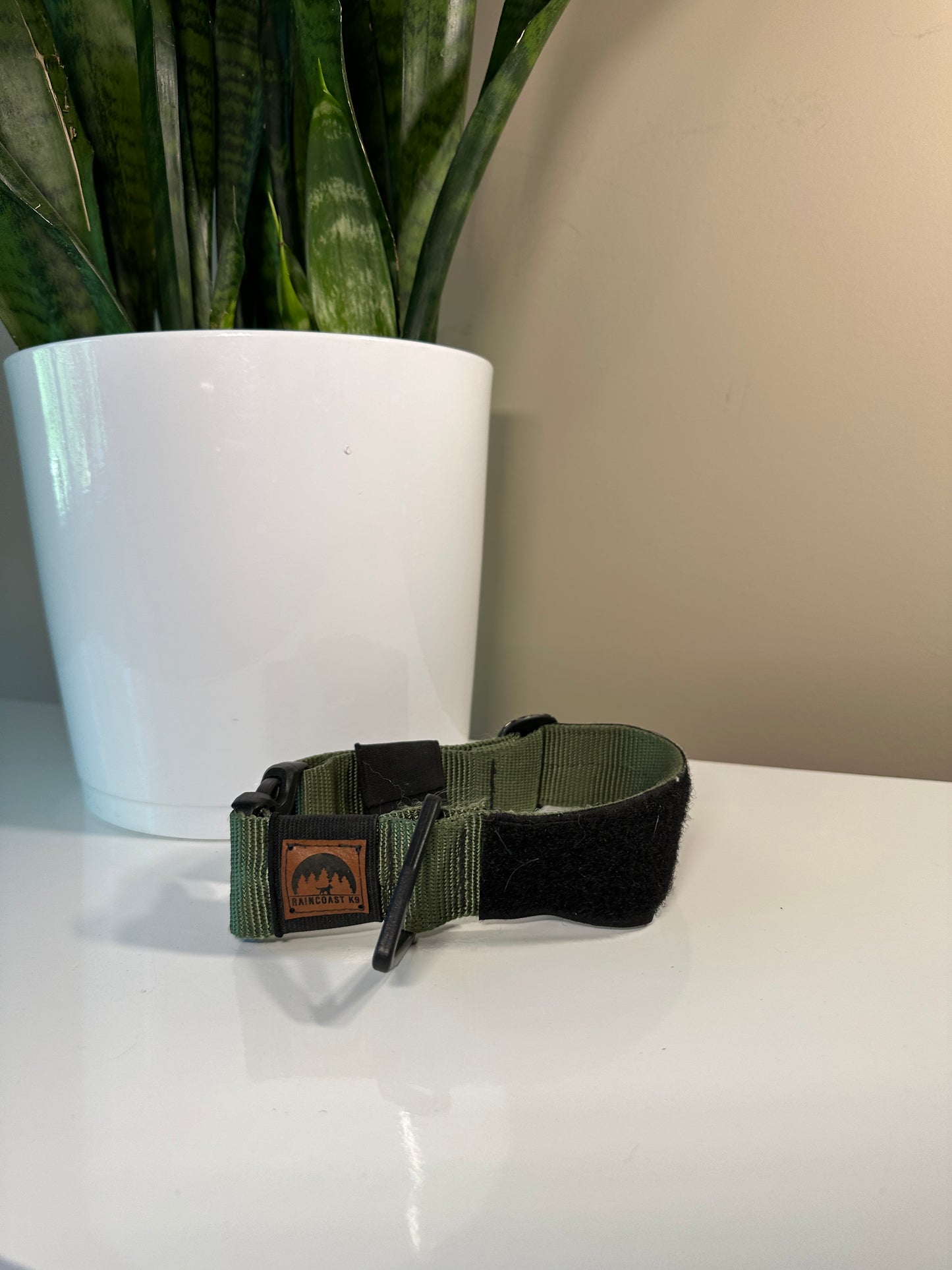 Rain Coast K9 Collar