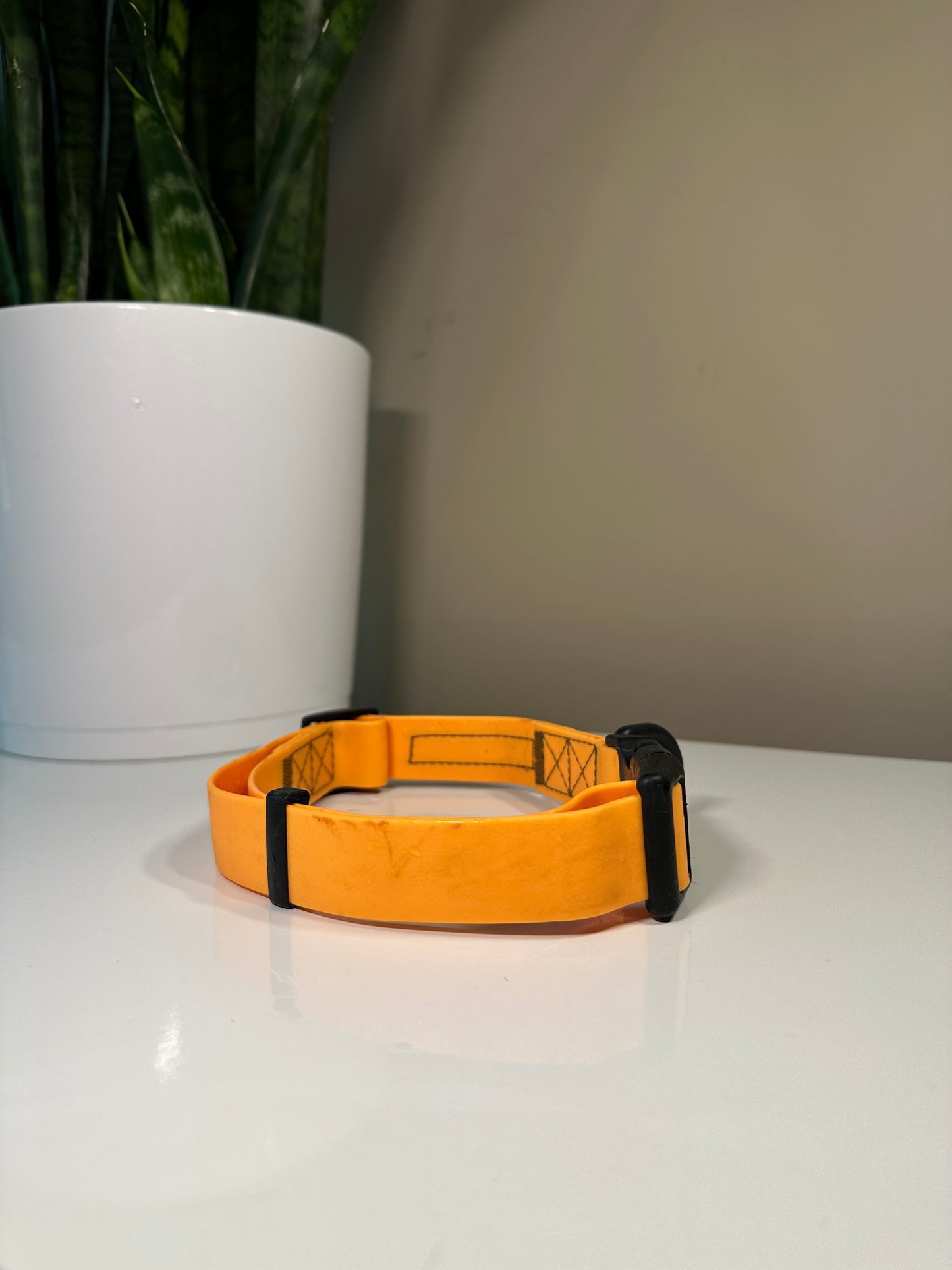 Smelly Dog Orange Collar M/L
