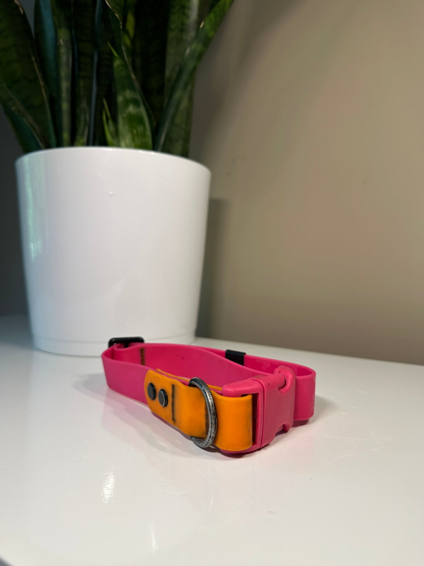 RC Pets Biothane Collar Medium