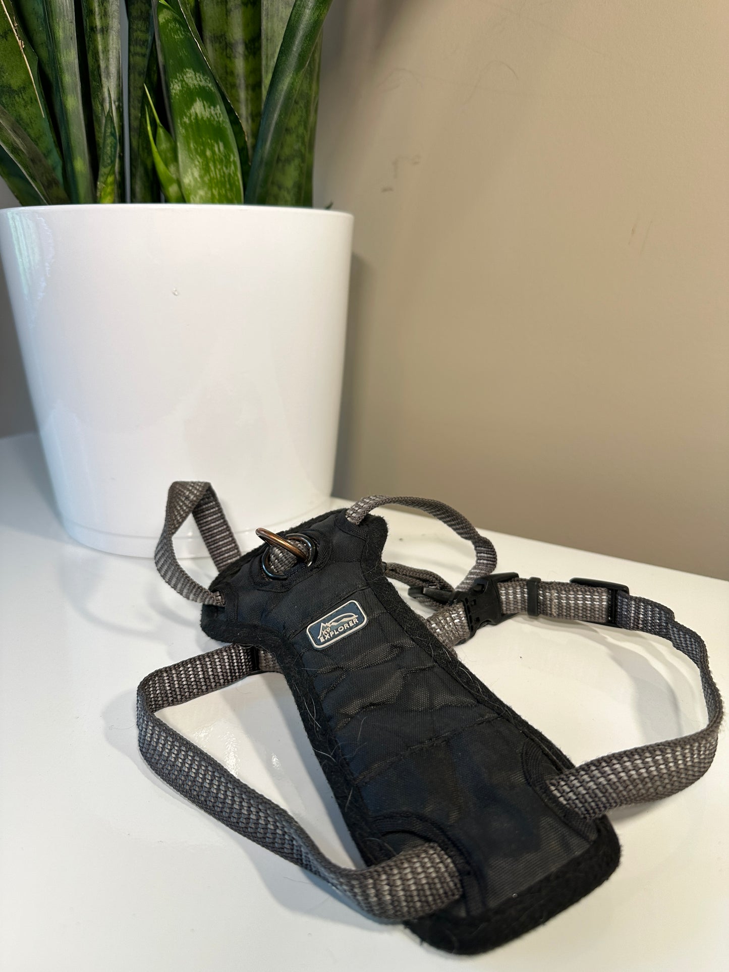 K9 Explorer Harness