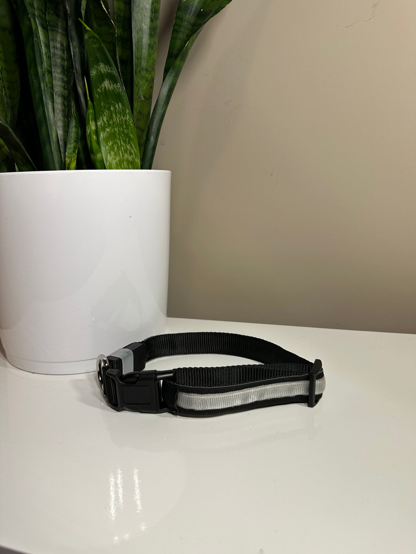 Lrg LED collar