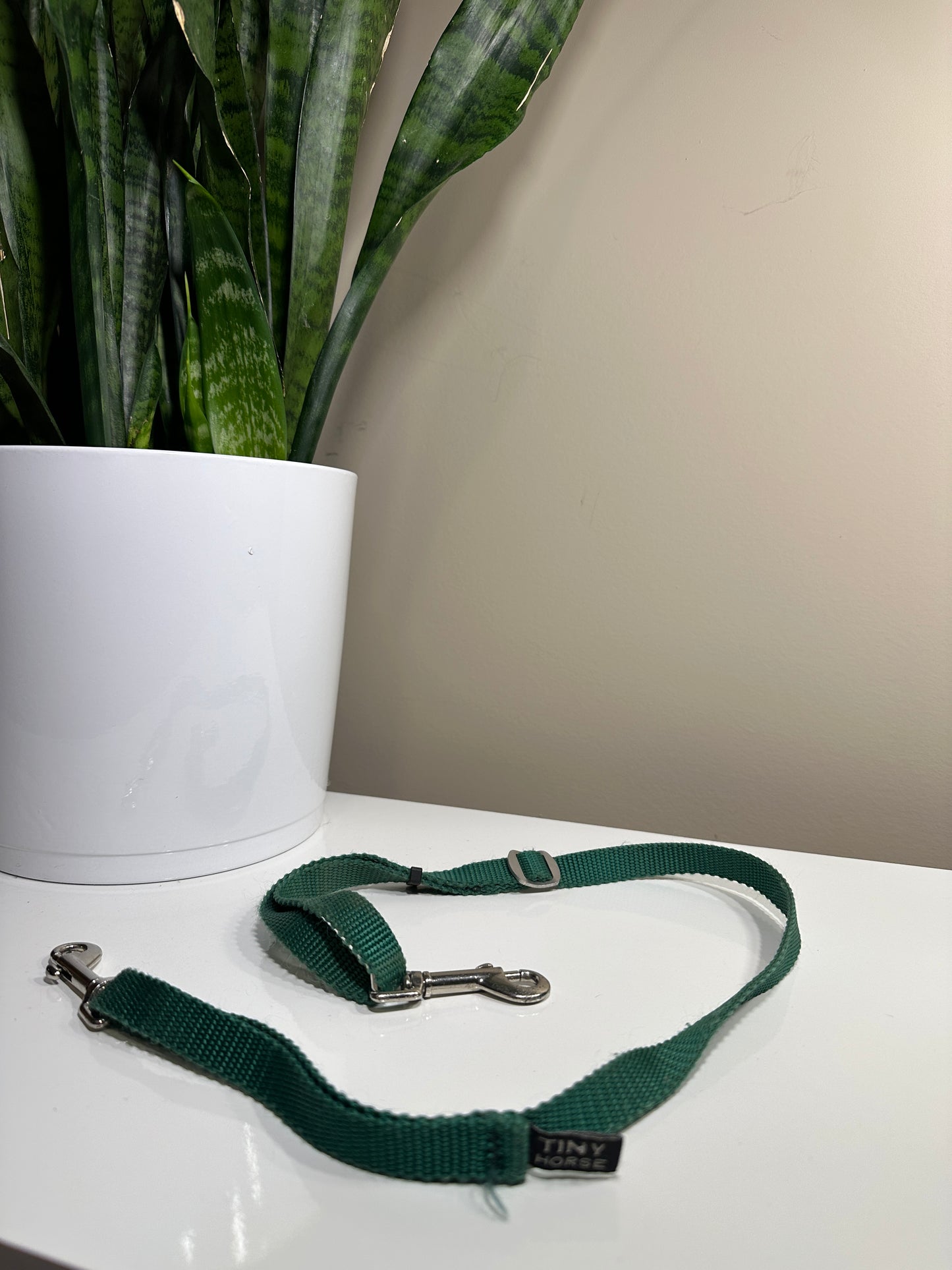 Tiny Horse Lead All Lite Mini - Green