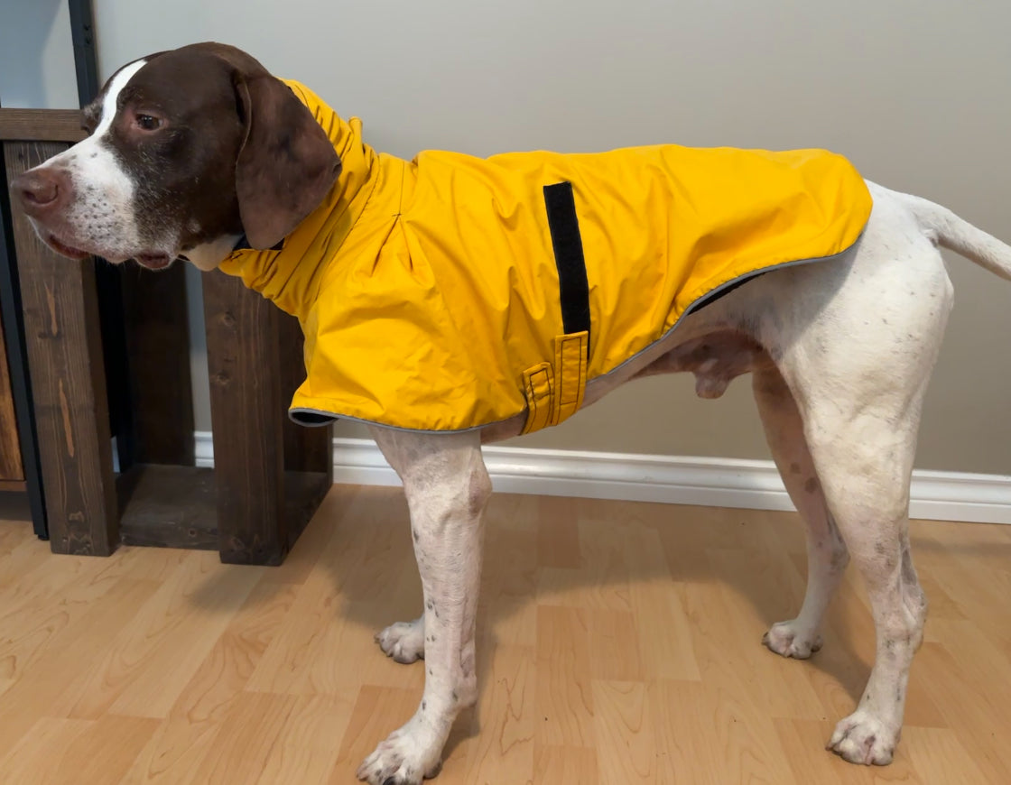Voyager K9 Size S Vizsla