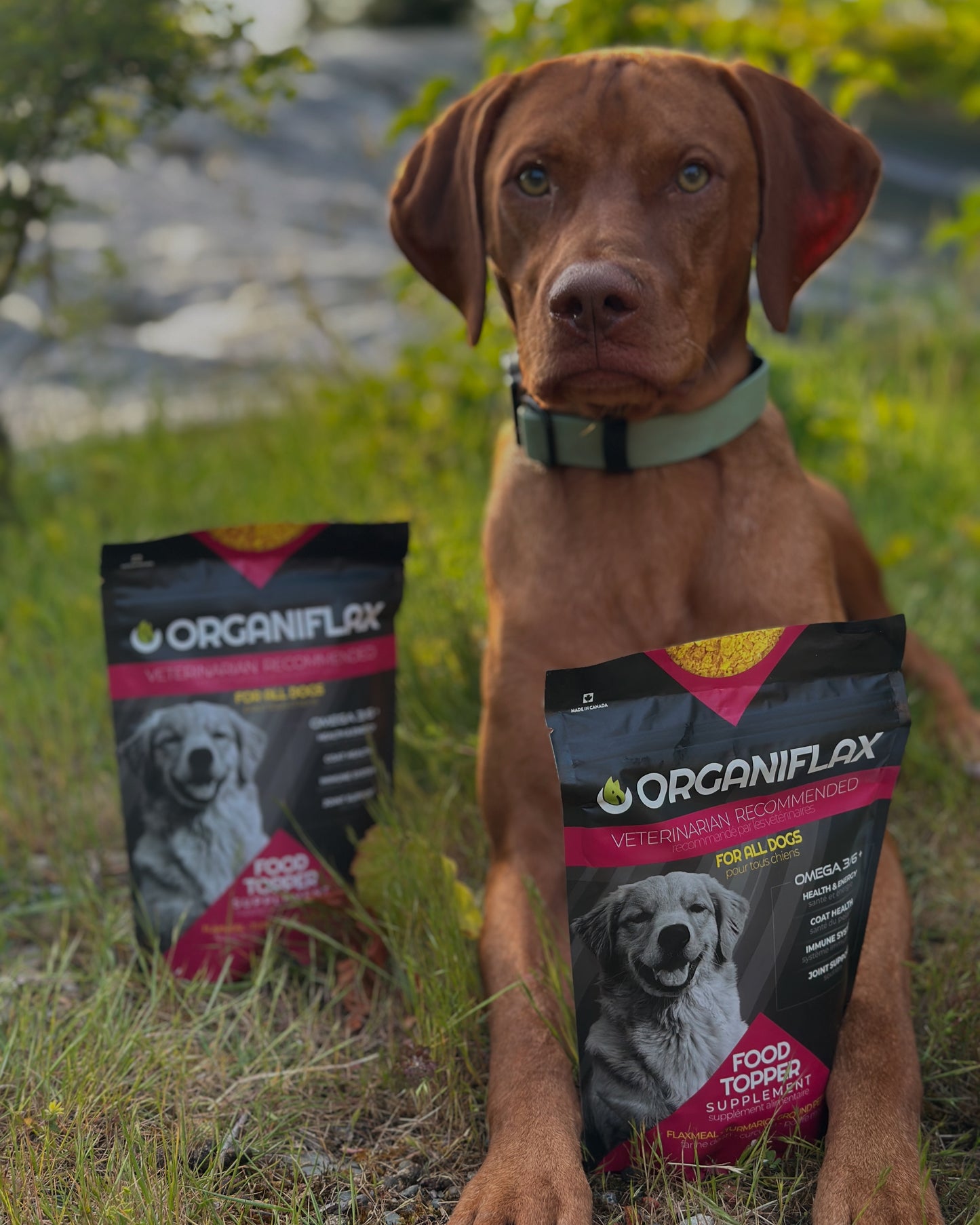 Organiflax Supplement