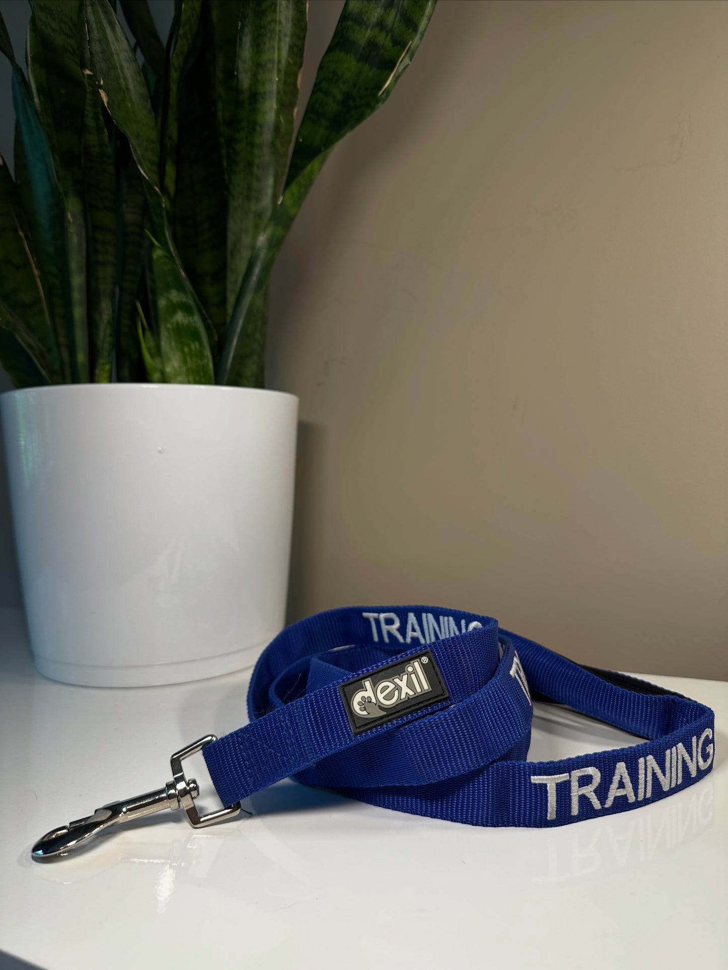 Training leash 6ft