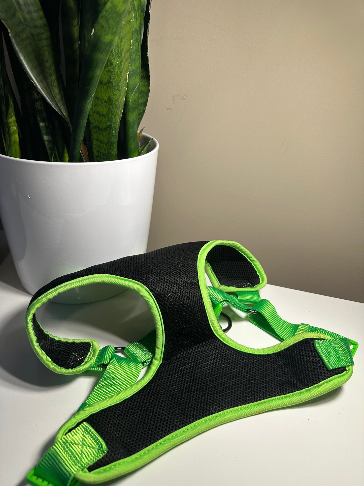 XL top paw harness
