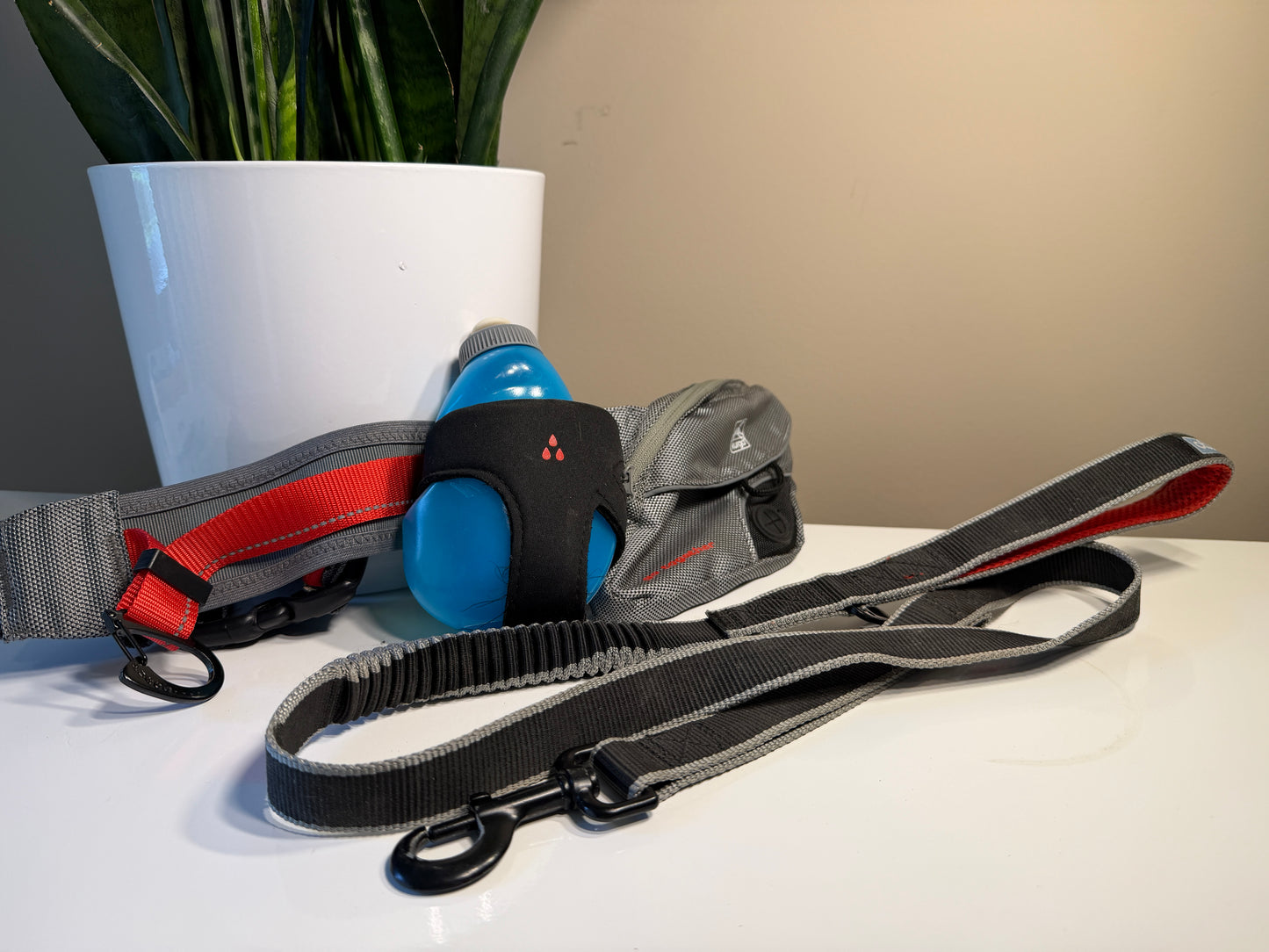 Kurgo Hands Free Belt