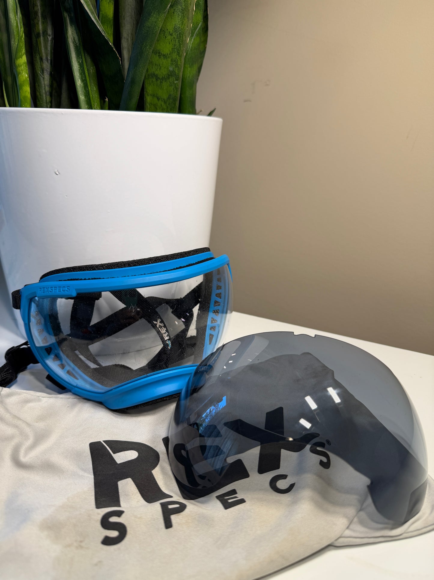 Rex Specs Size Large