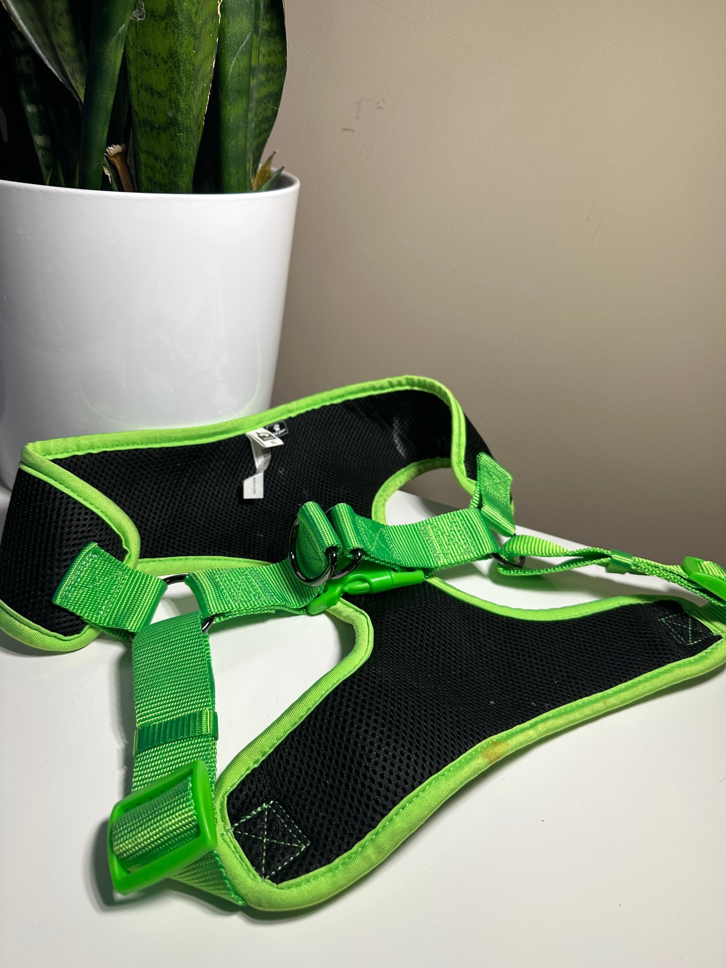 XL top paw harness