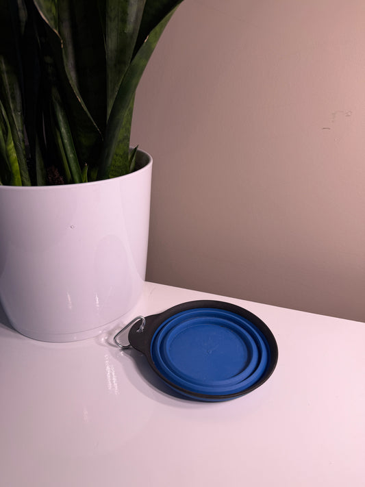 Collapsible dish