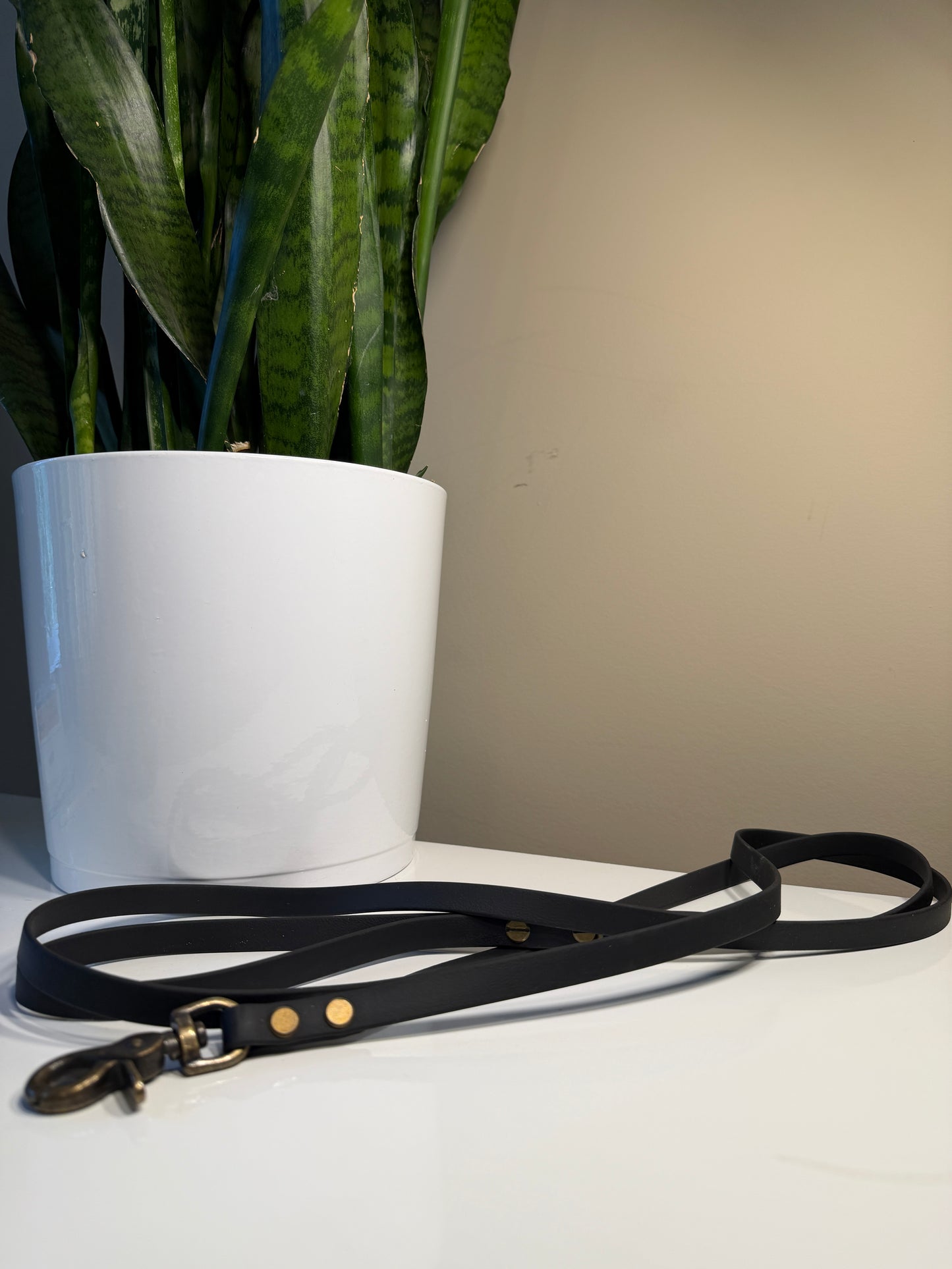 6ft Mystical Tails Leash