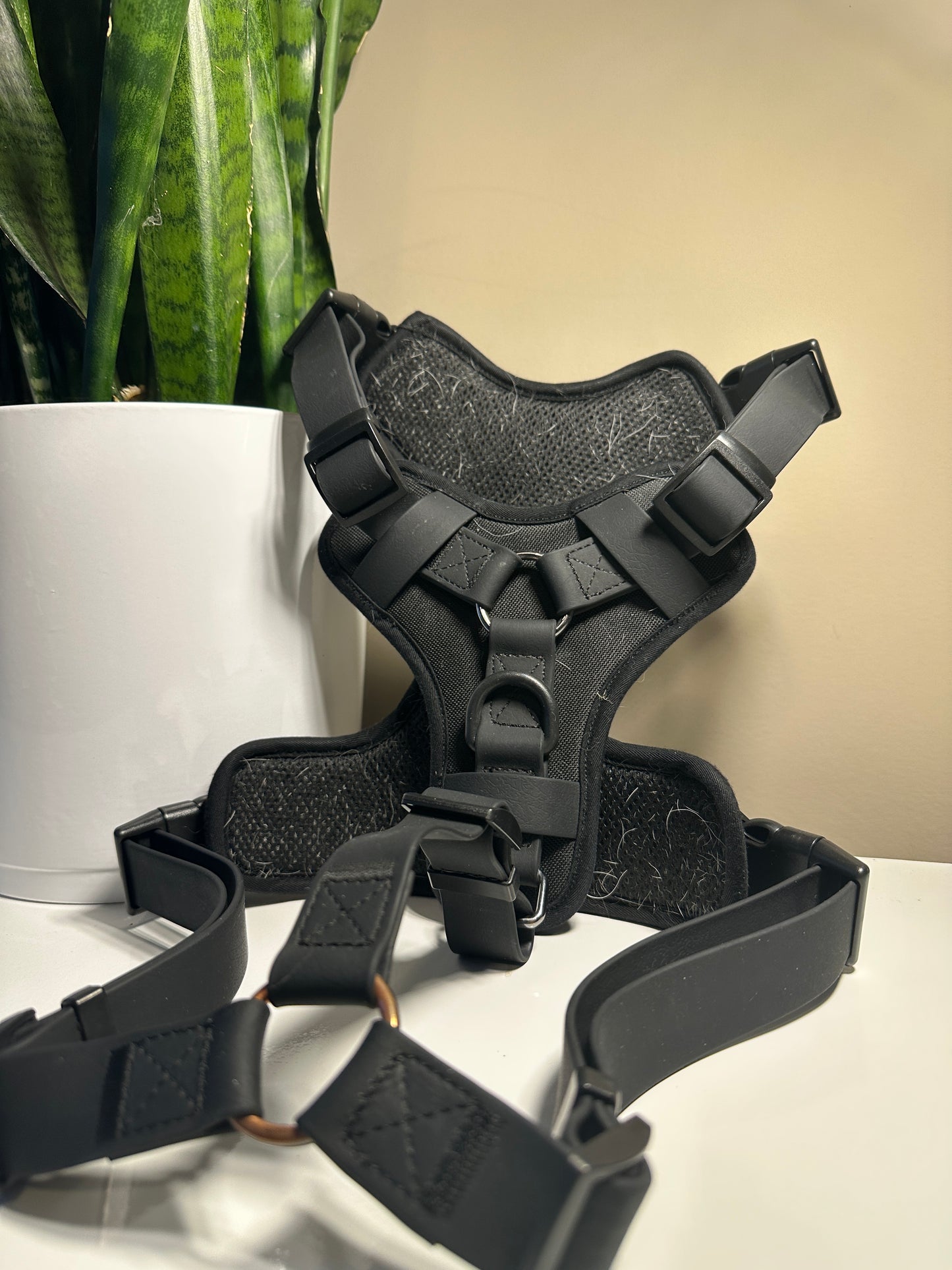 Smelly Dog Comfort Harness