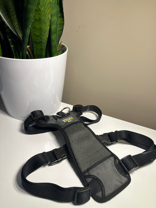 Walk Right XL Harness