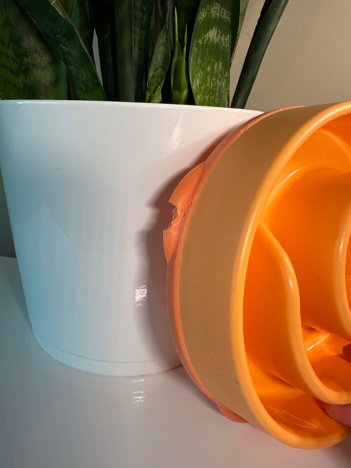 Outward Hound Slow Feeder Bowl