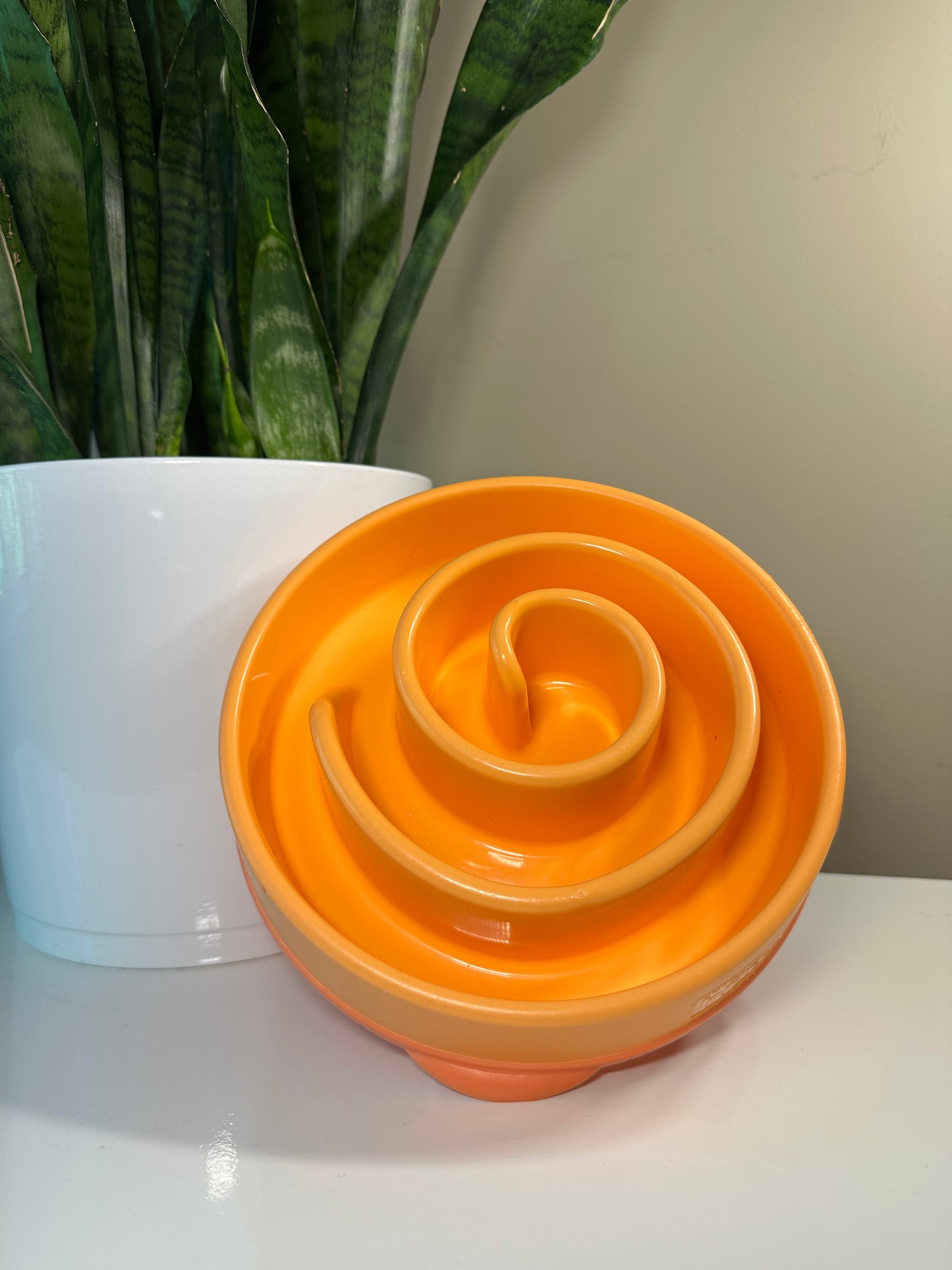 Outward Hound Slow Feeder Bowl