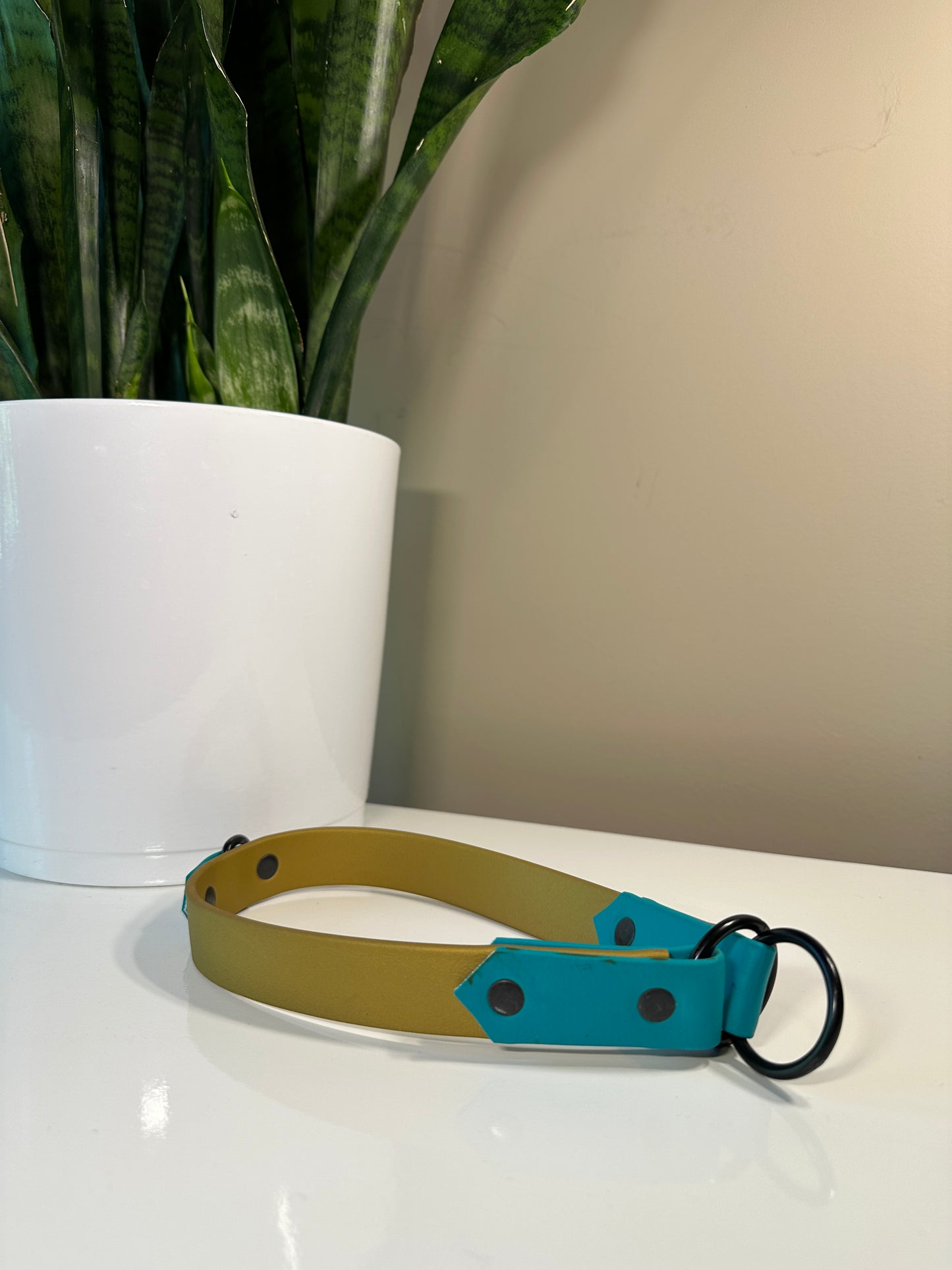 Two Tone Biothane Slip Collar