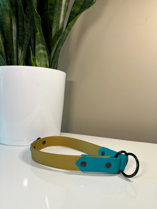 Two Tone Biothane Slip Collar