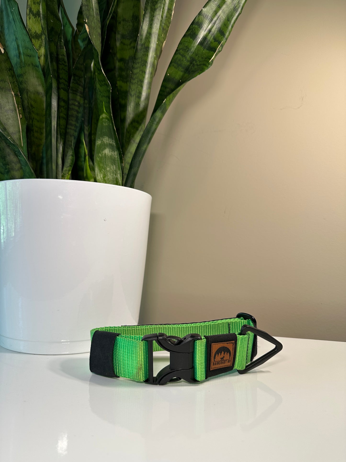 Raincoast K9 Collar