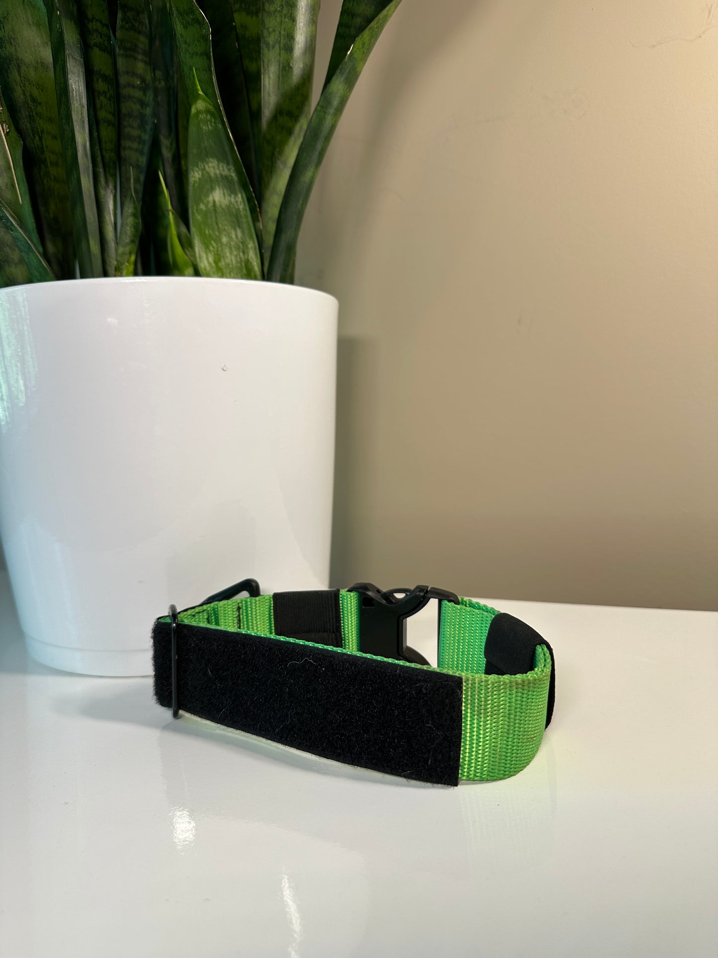 Raincoast K9 Collar