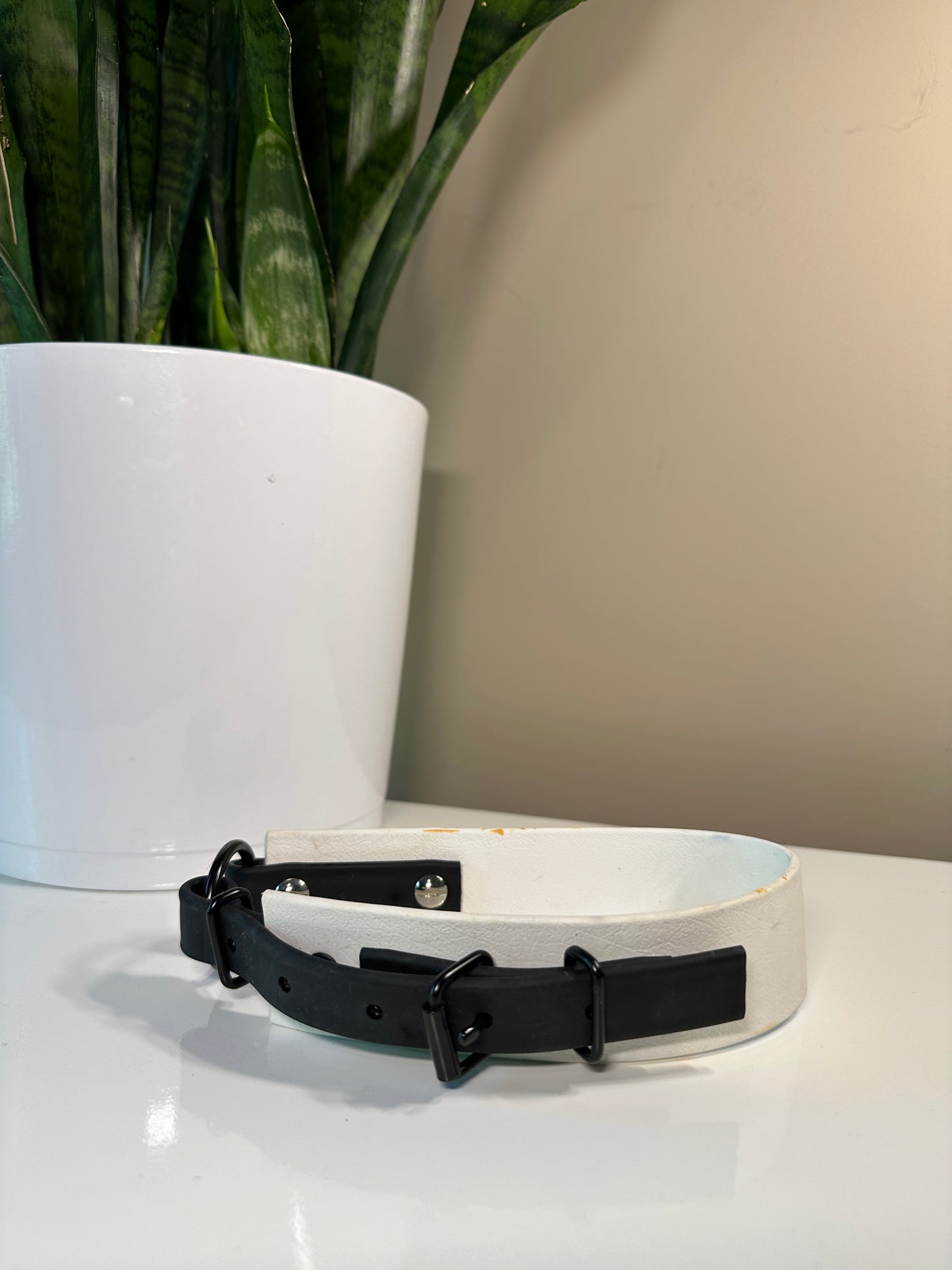 Black & White O Ring Collar- Dog Dog Goose