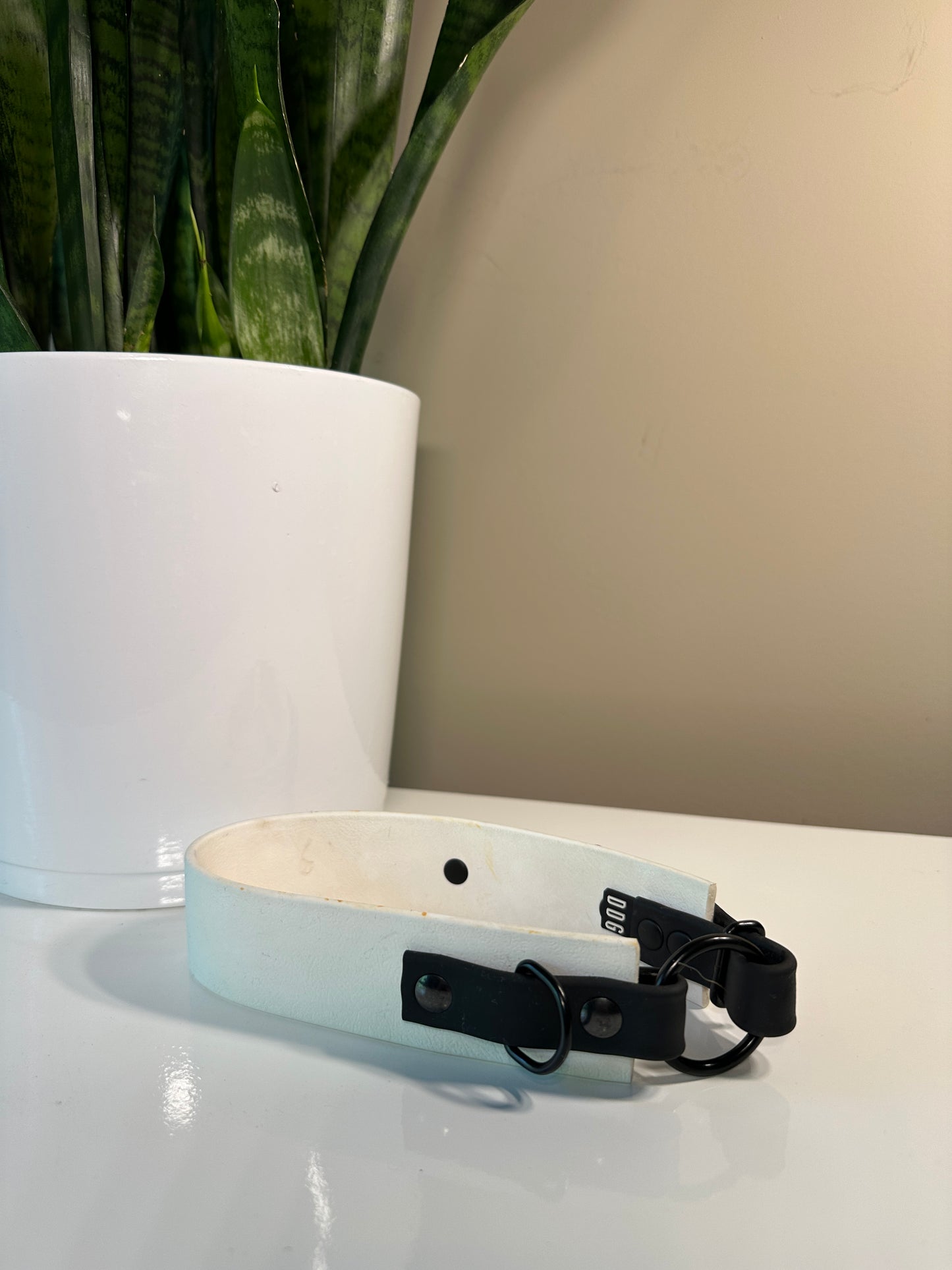 Black & White O Ring Collar- Dog Dog Goose