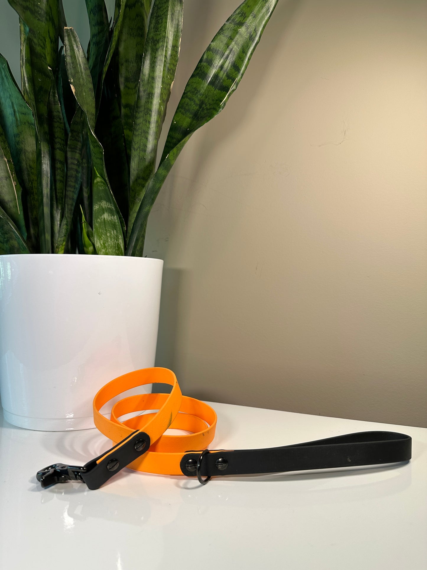Orange & Black Biothane Leash