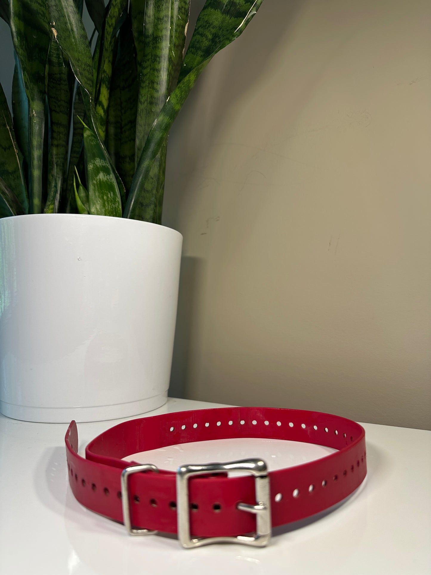 Sportdog Biothane Collar