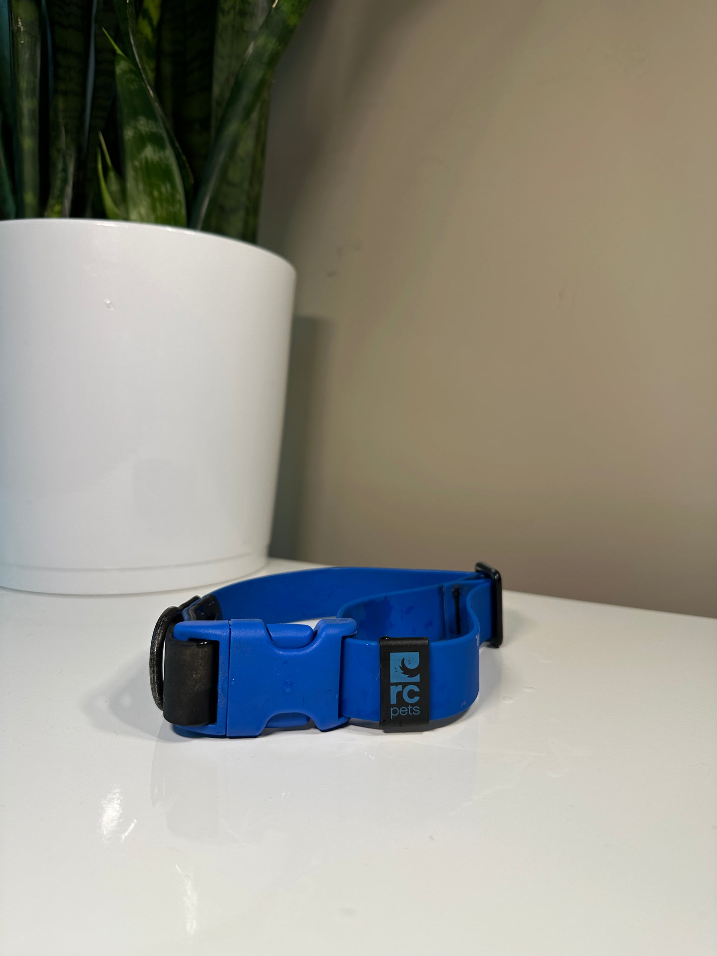 RC Pets Biothane Collar Size Large