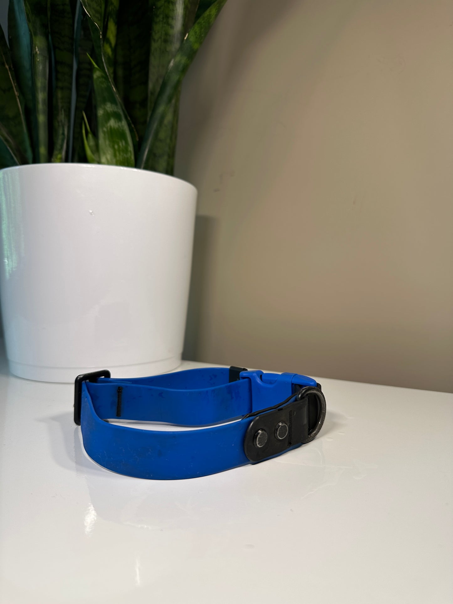 RC Pets Biothane Collar Size Large