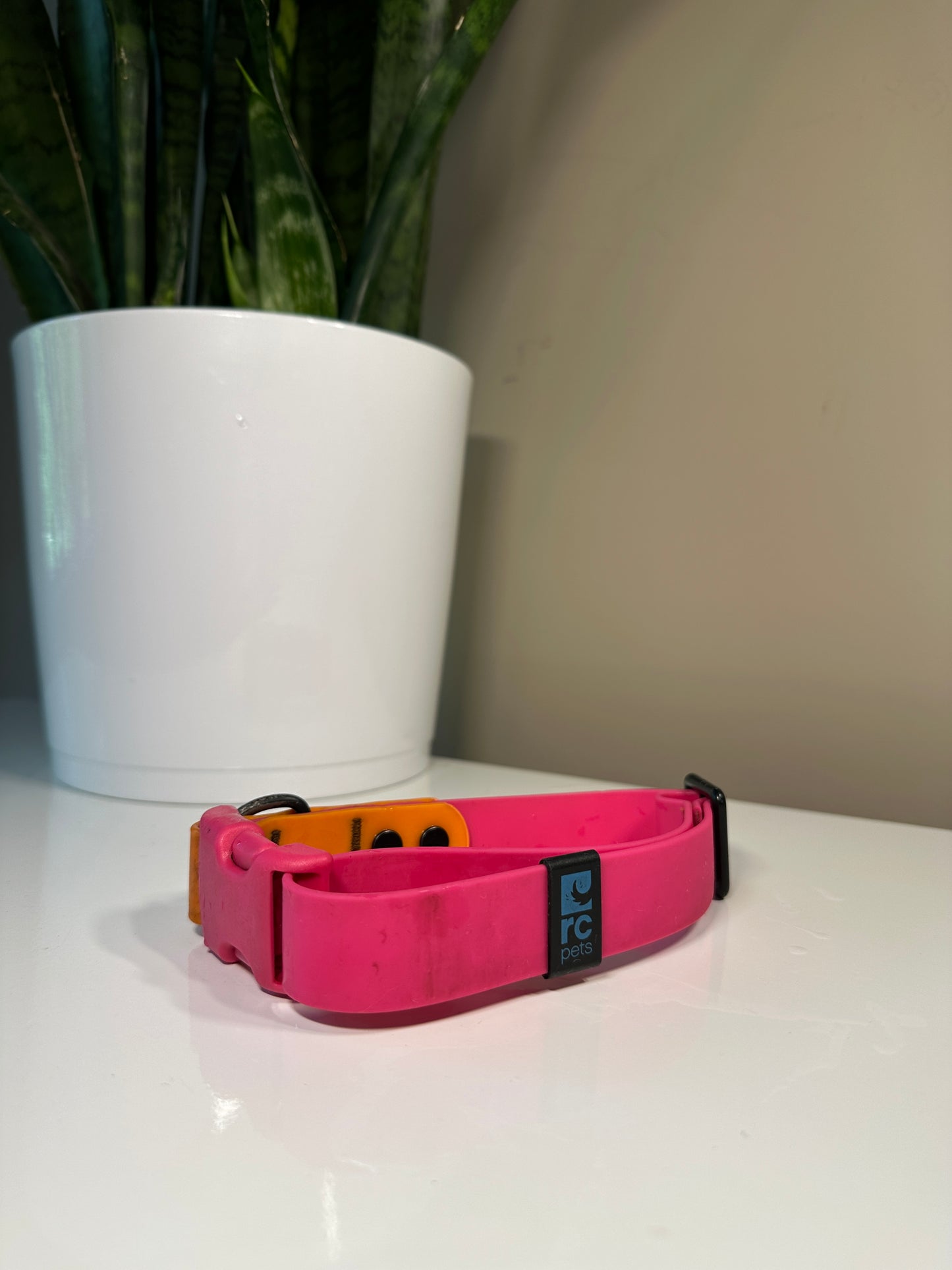 RC Pets Biothane Collar Medium