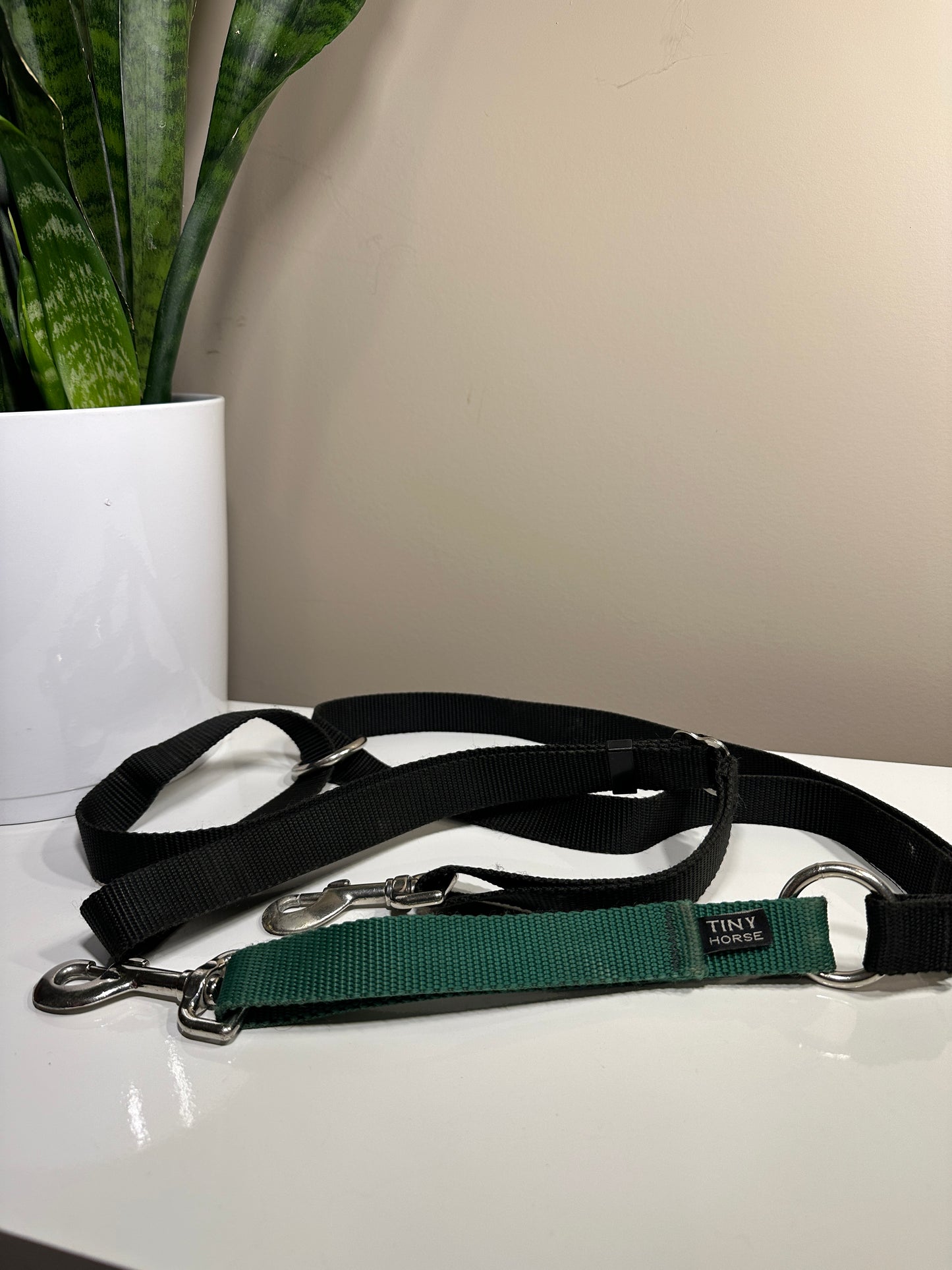 Tiny Horse Leader Hands Free Leash