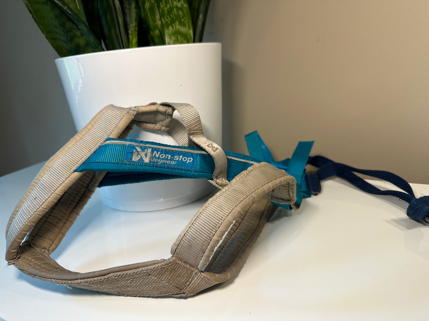 Non Stop Dog Wear Freemotion Harness 5.0 Size 3