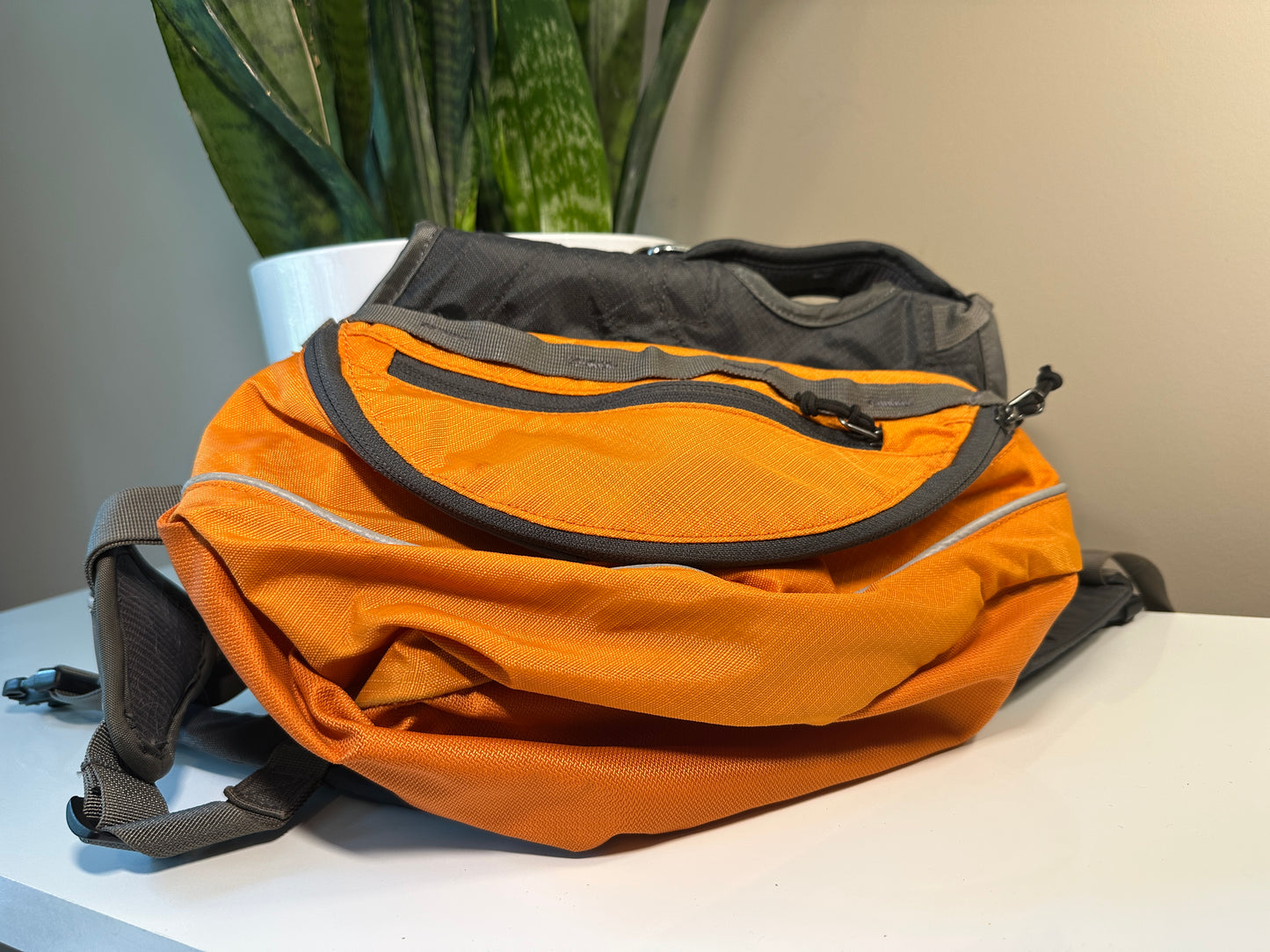 Ruffwear Size S Approach Backpack