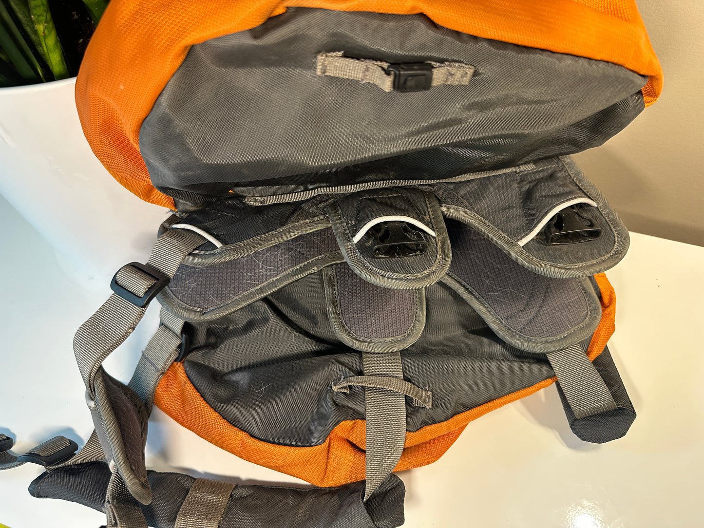 Ruffwear Size S Approach Backpack