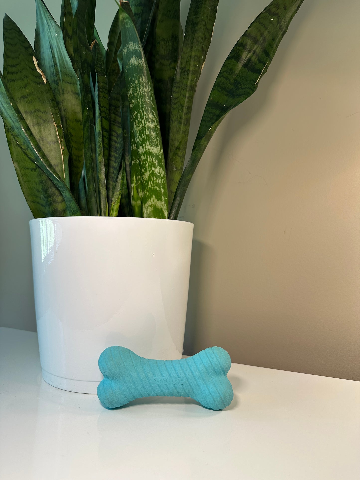 Playology Dual Layer Bone Toy