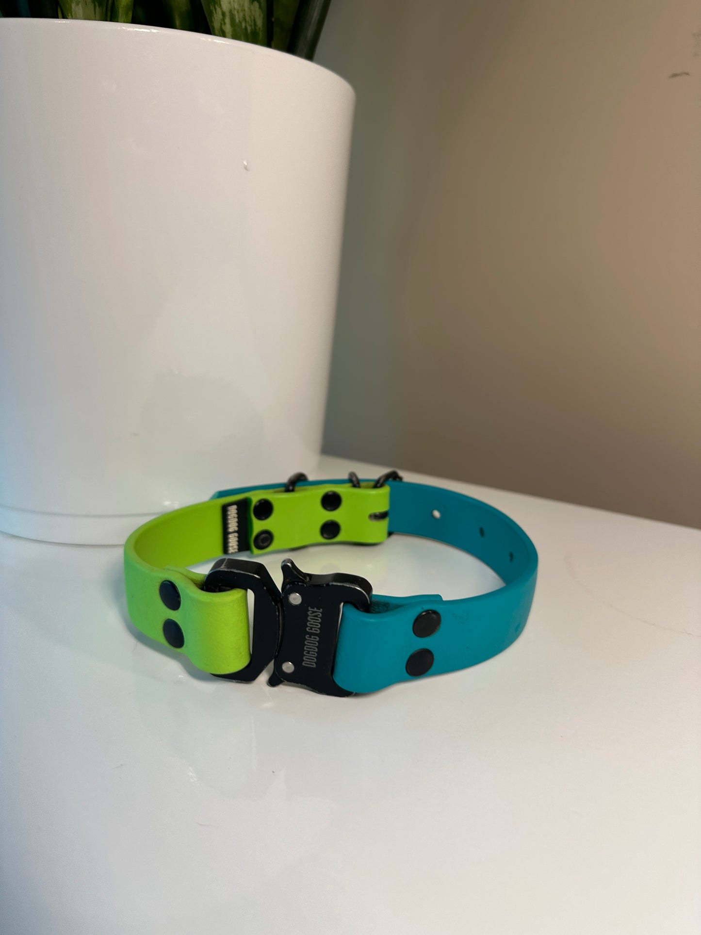 Dog Dog Goose Two Tone Collar M