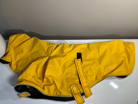 Voyager K9 Size S Vizsla